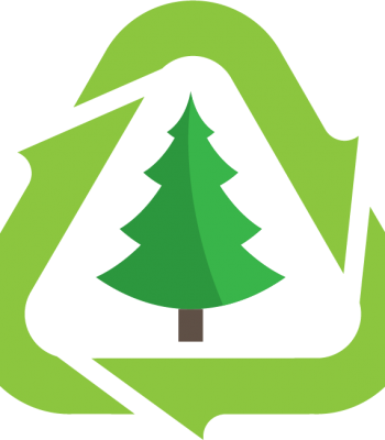 Post Christmas - Tree collection and recycling